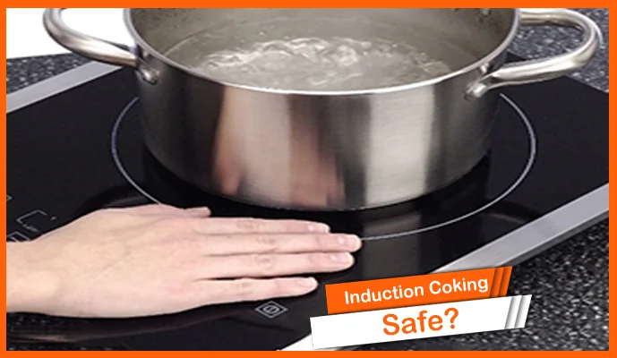 Is Induction Cooking Safe For Human Health- Hazards Of EMF Radiations